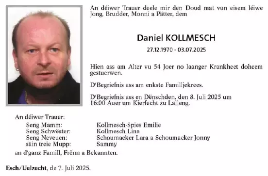 Traueranzeige für Daniel Kollmesch