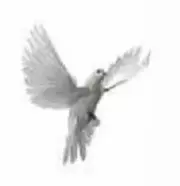 Portrait von Eliane Molitor