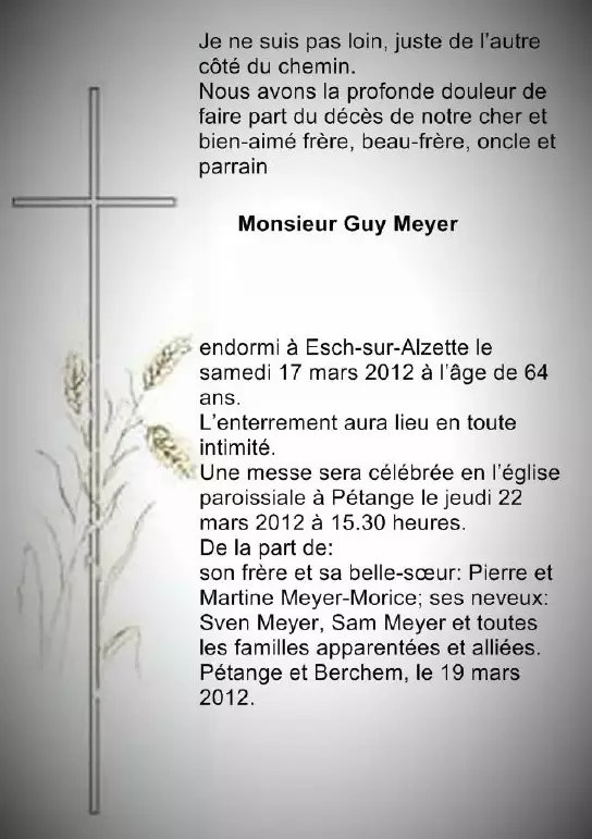 Traueranzeige für Guy Meyer