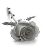 Portrait von Marie Thérèse Becker-Feiereisen