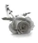 Portrait von Armand Majerus