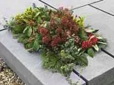 Portrait von Jeanne Bonza