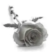 Portrait von Marie Louise Schuller-Clesen