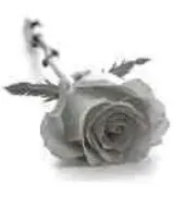 Portrait von Germaine Harles