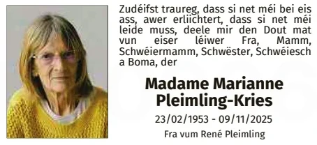 Traueranzeige für Marianne Pleimling Kries