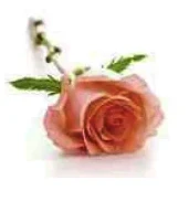 Portrait von Marie-Thérèse Stieber-Steichen