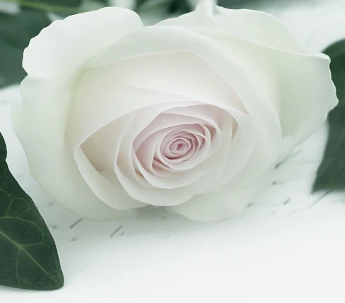 Portrait von Jean-Paul Welter