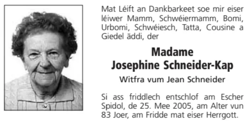 Traueranzeige für Josephine Schneider-Kap